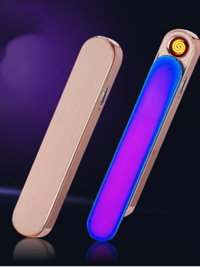Electronic cigarette lighter